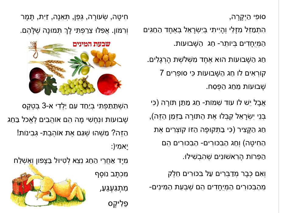 מכתבים מפליקס by Maayan Menashe - Illustrated by מרחב לשם א-3 - Ourboox.com