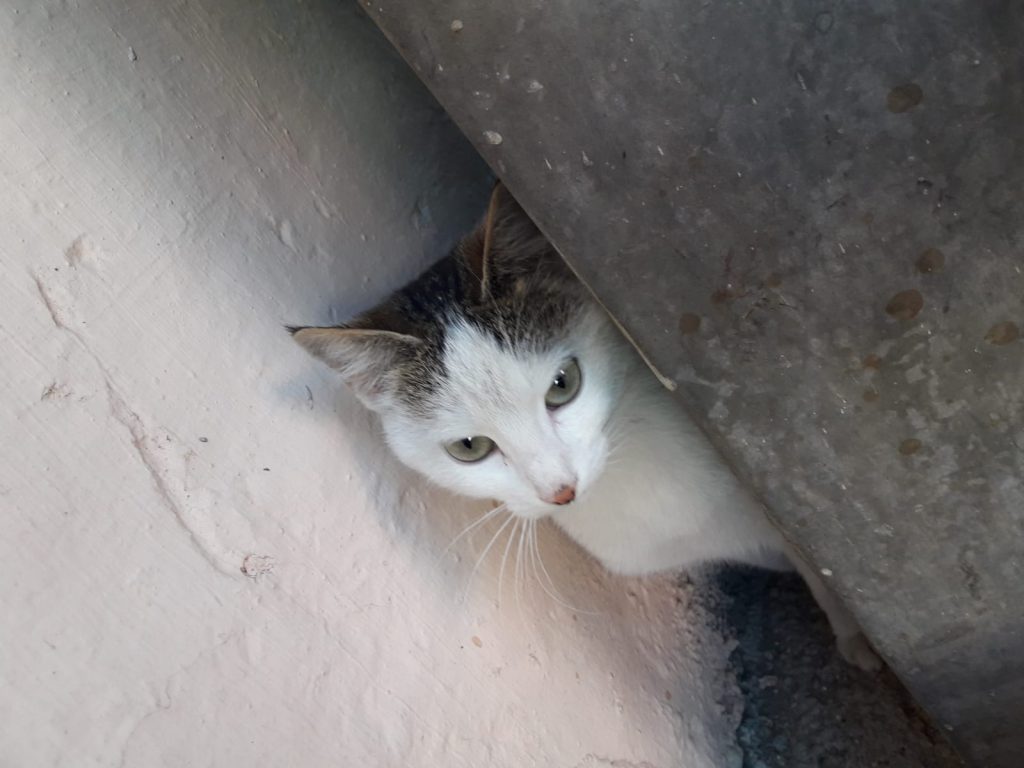 FOTOĞRAFTAN ÖYKÜYE by Z.T. - Ourboox.com