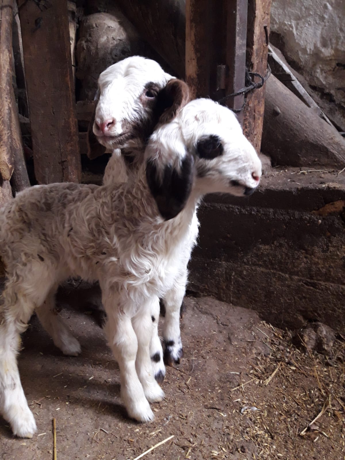 FOTOĞRAFTAN ÖYKÜYE by Z.T. - Ourboox.com