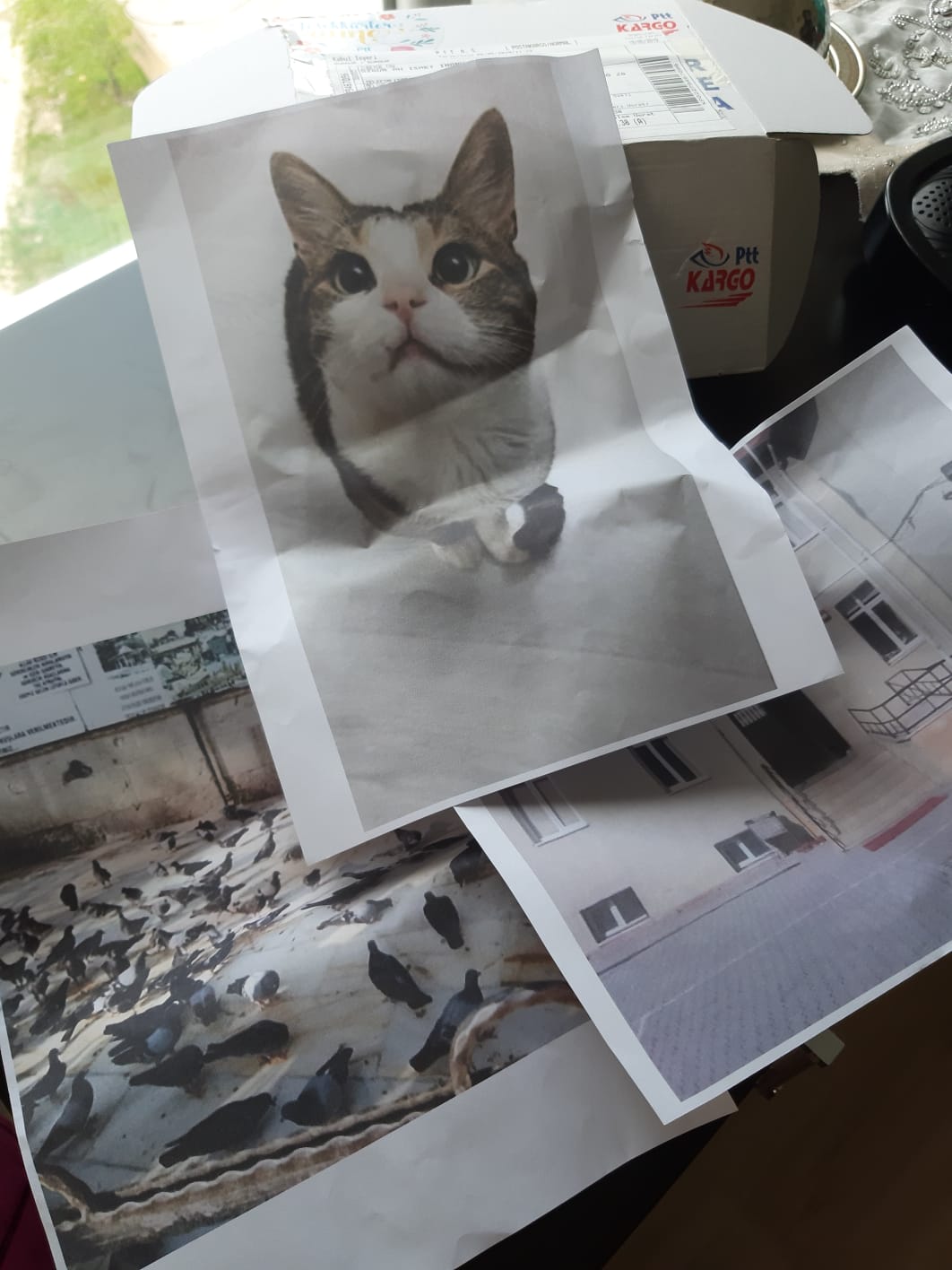 FOTOĞRAFTAN ÖYKÜYE by Z.T. - Ourboox.com