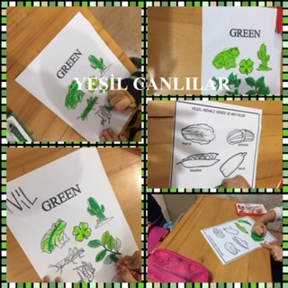 RENKLERİN BÜYÜLÜ DÜNYASI by Ayten KURT - Ourboox.com