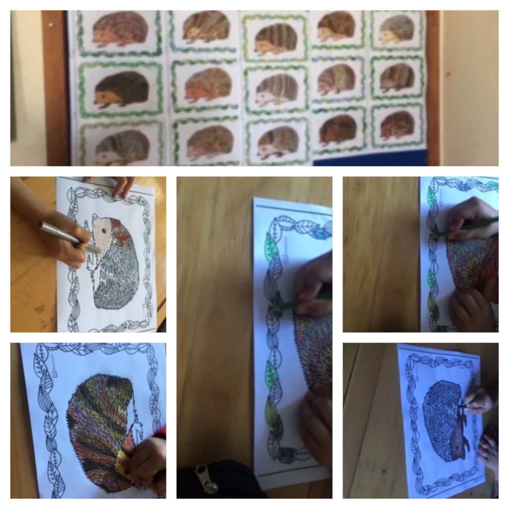 RENKLERİN BÜYÜLÜ DÜNYASI by Ayten KURT - Ourboox.com