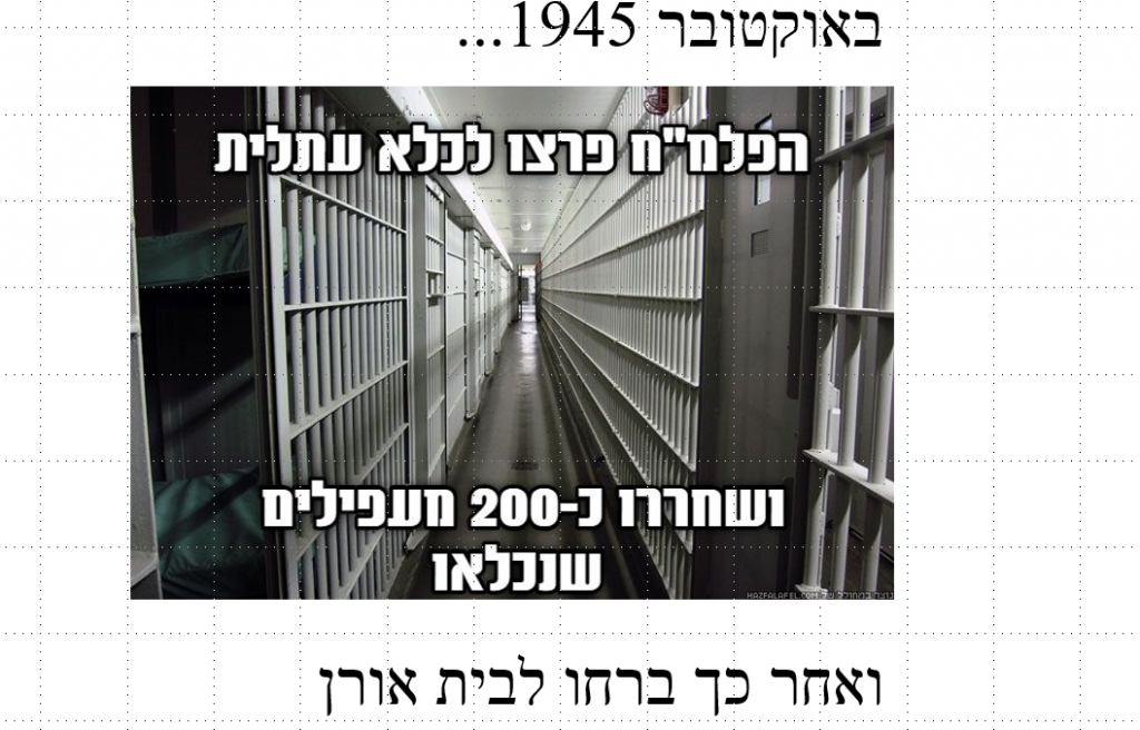 תנועת המרי העברי by יובל גלבוע ויהלי פרי - Illustrated by יהלי פרי ויובל גלבוע - Ourboox.com