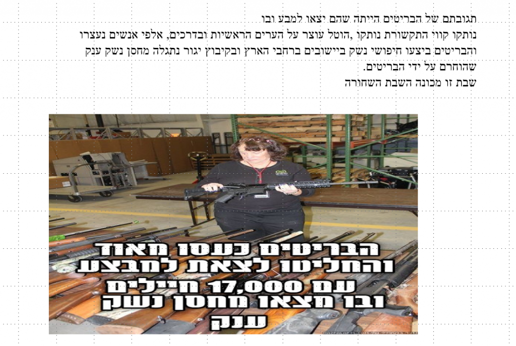 תנועת המרי העברי by יובל גלבוע ויהלי פרי - Illustrated by יהלי פרי ויובל גלבוע - Ourboox.com