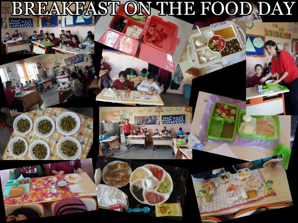 BESİNLERİN ÖZELLİKLERİNE GÖRE ÇEŞİTLİLİĞİNİ SINIFLANDIRDIK