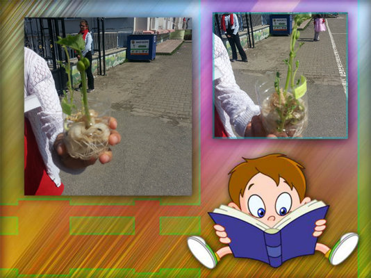 From STEM to STEAM project common e book by Münevver Çakır Ertekin - Ourboox.com