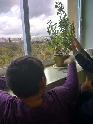 From STEM to STEAM project common e book by Münevver Çakır Ertekin - Ourboox.com