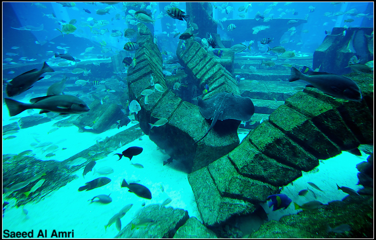 مدينة اتلانتس المفقودة by bushra slami - Ourboox.com