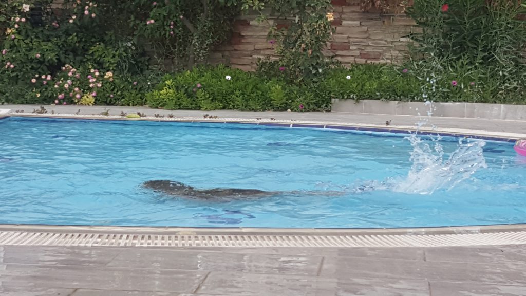 2018 YAZI by gulizi - Illustrated by Güliz YÜKSEL YAĞCILAR - Ourboox.com