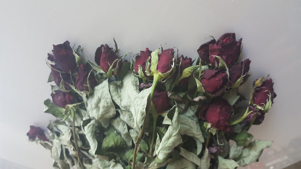 2018 YAZI by gulizi - Illustrated by Güliz YÜKSEL YAĞCILAR - Ourboox.com