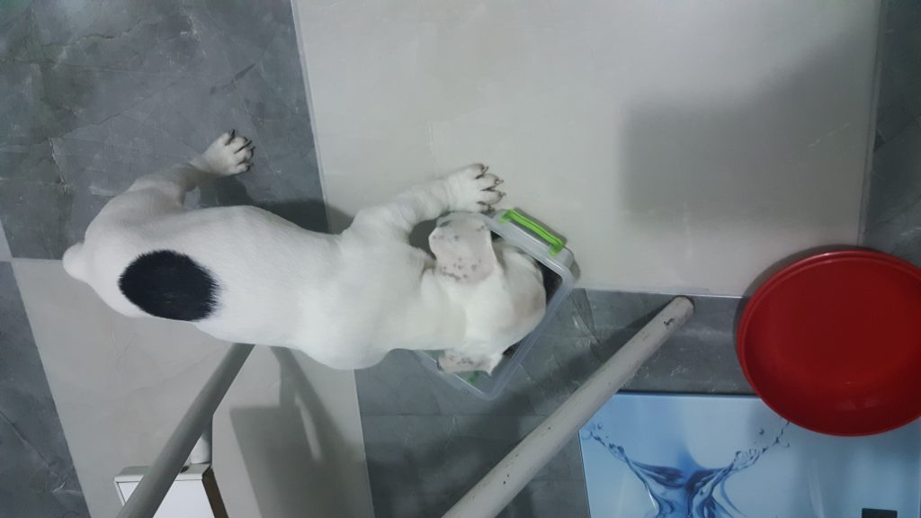 2018 YAZI by gulizi - Illustrated by Güliz YÜKSEL YAĞCILAR - Ourboox.com