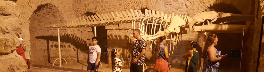 2018 YAZI by gulizi - Illustrated by Güliz YÜKSEL YAĞCILAR - Ourboox.com