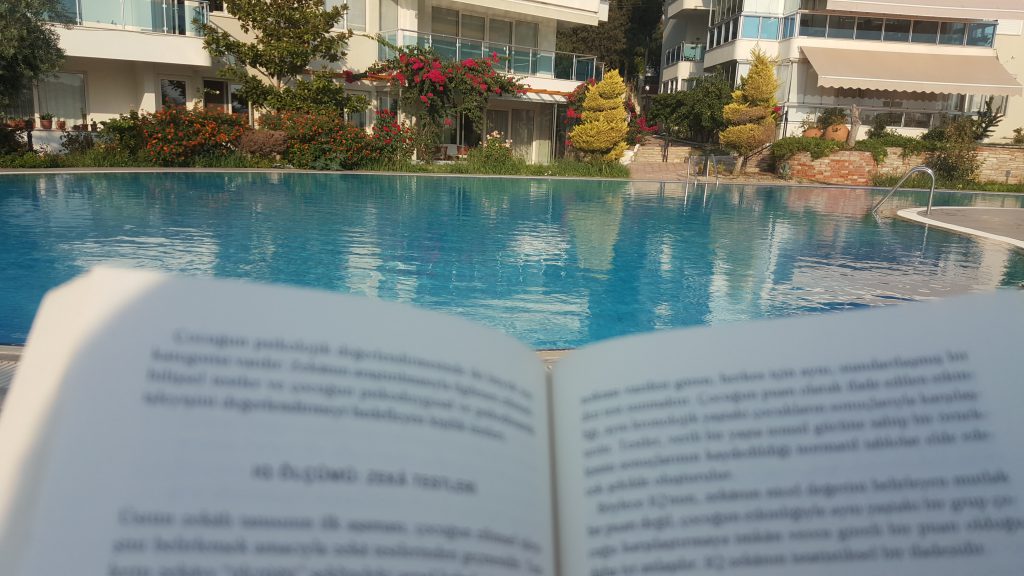 2018 YAZI by gulizi - Illustrated by Güliz YÜKSEL YAĞCILAR - Ourboox.com