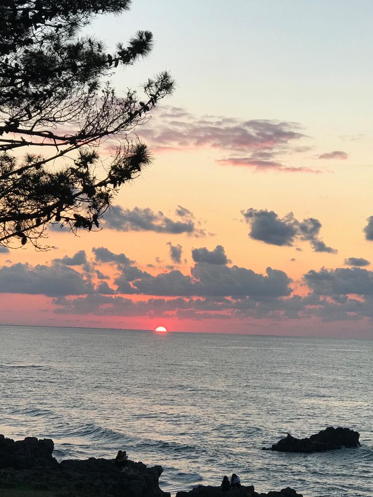 DENİZİN MAVİSİNDE YEŞİLİN GÖLGESİNDE ÜNYE by Gülcan Çiçek - Ourboox.com