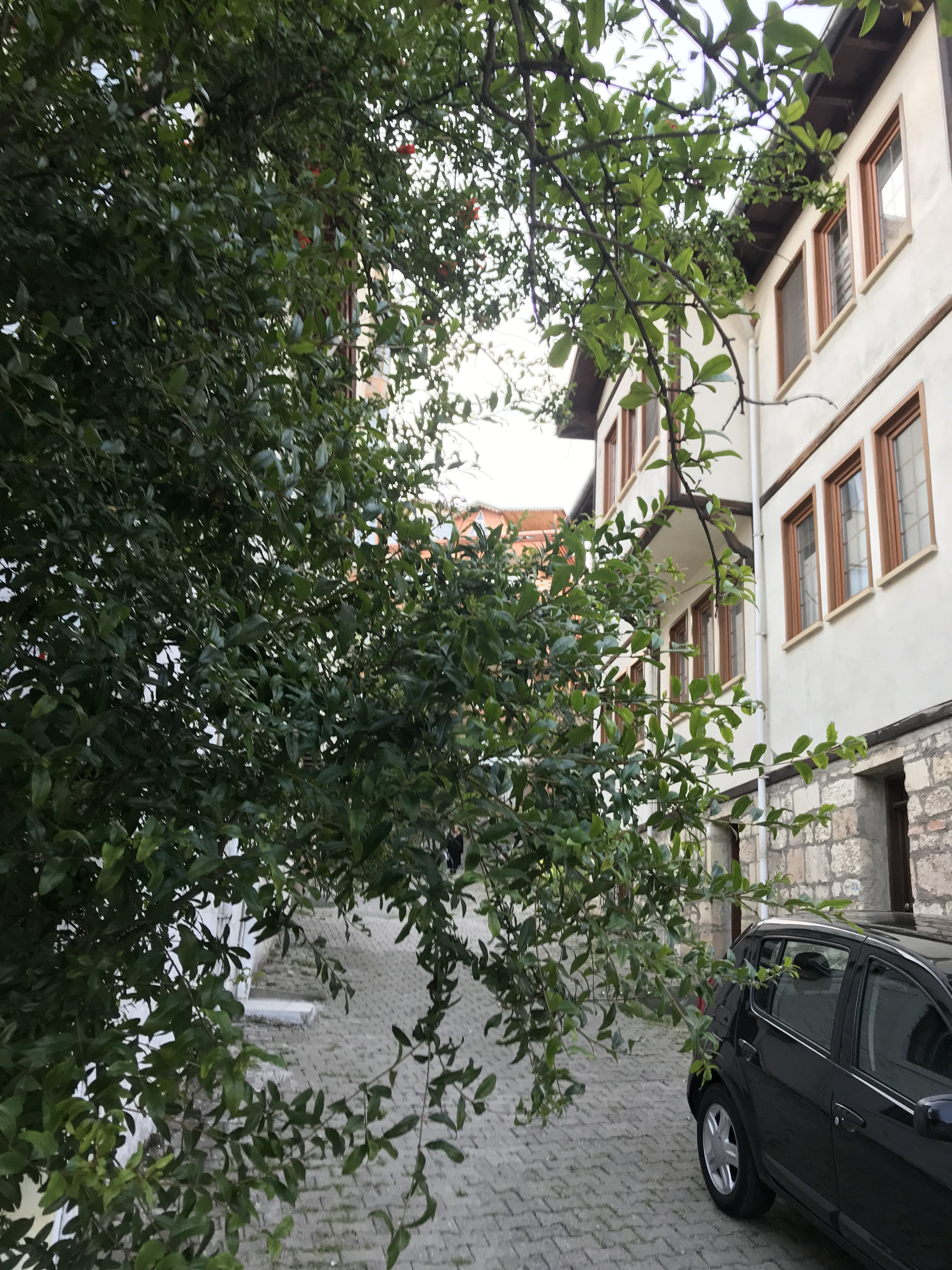 DENİZİN MAVİSİNDE YEŞİLİN GÖLGESİNDE ÜNYE by Gülcan Çiçek - Ourboox.com