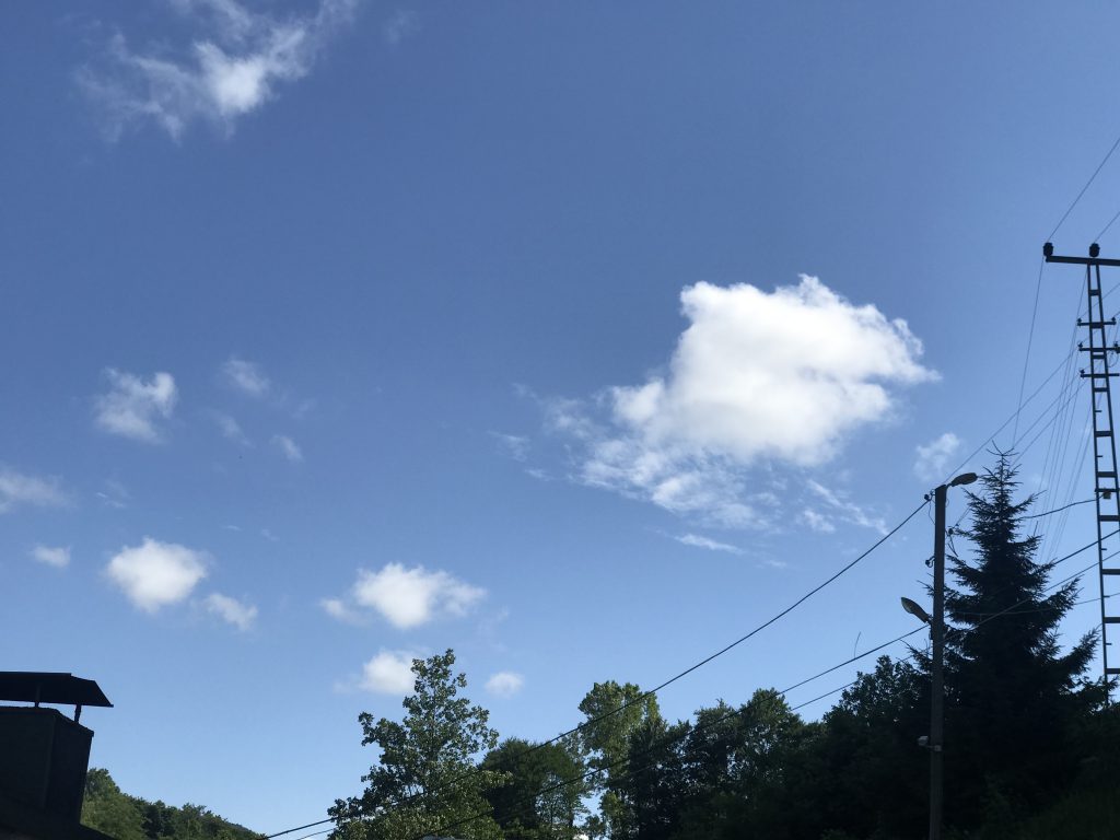 DENİZİN MAVİSİNDE YEŞİLİN GÖLGESİNDE ÜNYE by Gülcan Çiçek - Ourboox.com