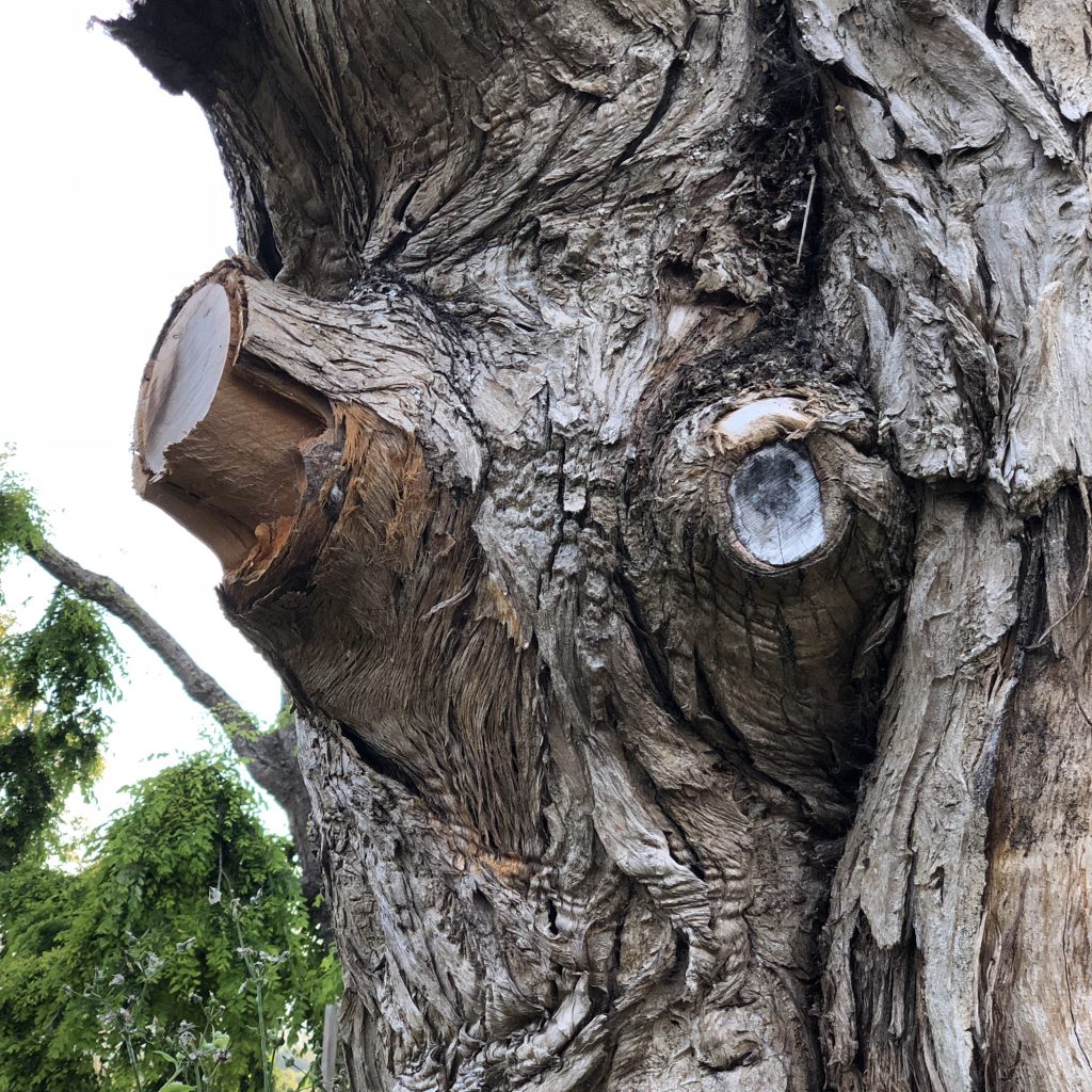 Renaissance of Breath Odour Research, Bristol, 2019 by Mel Rosenberg - מל רוזנברג - Ourboox.com