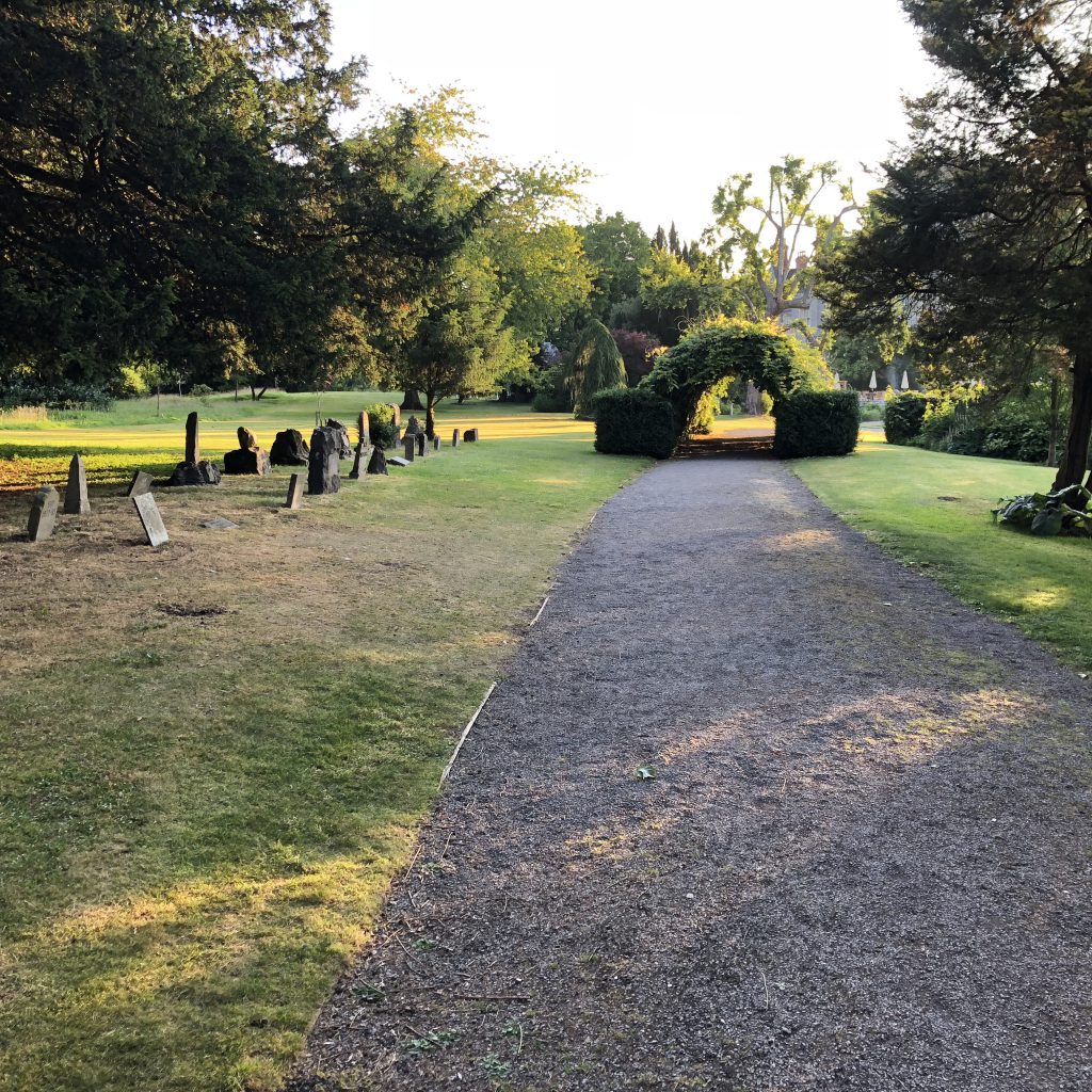 Renaissance of Breath Odour Research, Bristol, 2019 by Mel Rosenberg - מל רוזנברג - Ourboox.com