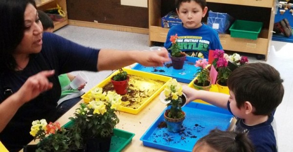 اجزاء النبته by alaa - Illustrated by zaghal alaa - Ourboox.com