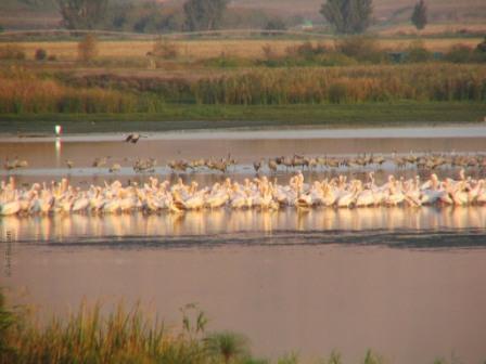 החורף by Coral Haimovich - Ourboox.com
