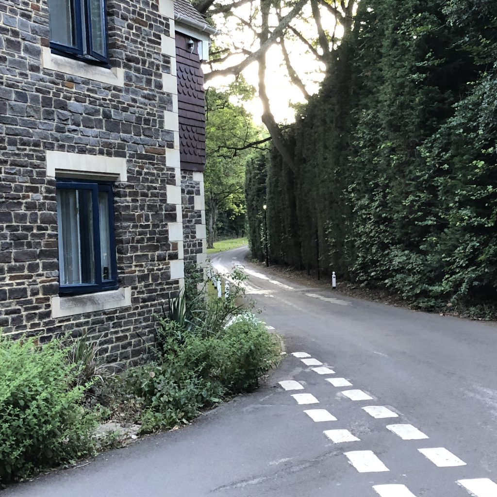 Bad Breath Research – Some Thoughts Going Forward by Mel Rosenberg - מל רוזנברג - Ourboox.com