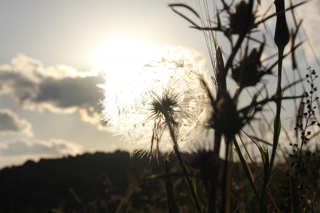 ספר תמונות by hizki - Ourboox.com