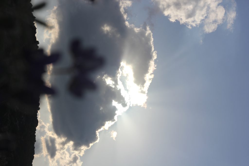 ספר תמונות by hizki - Ourboox.com