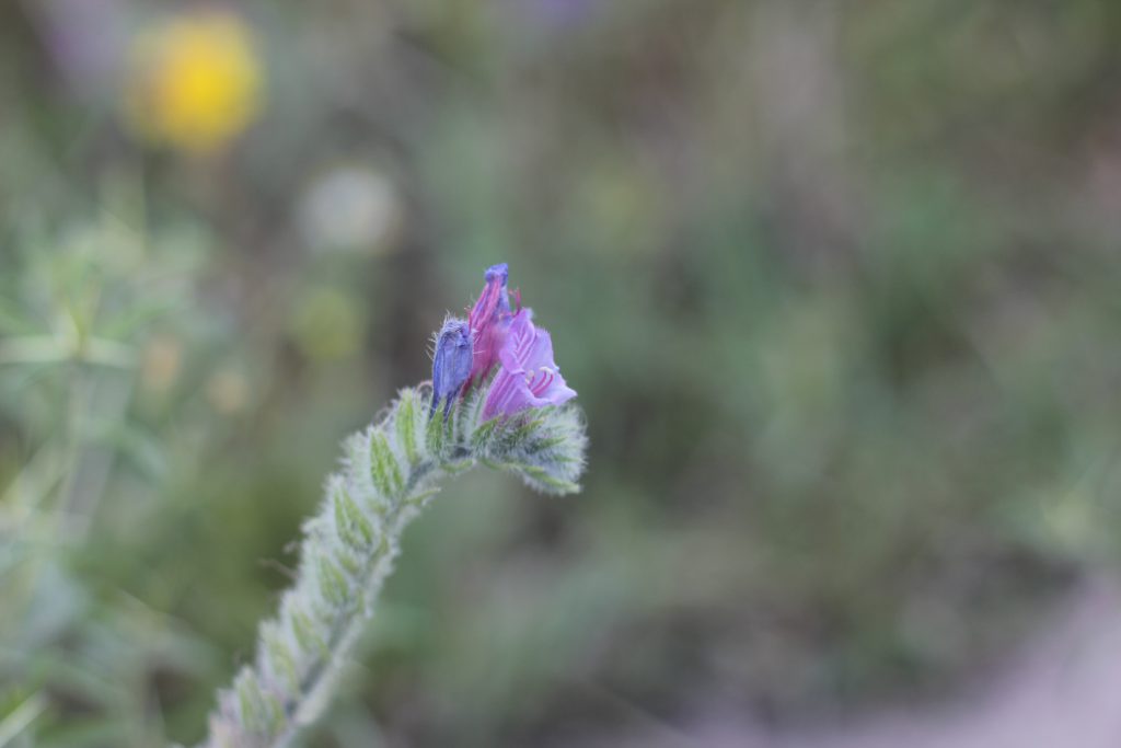 ספר תמונות by hizki - Ourboox.com