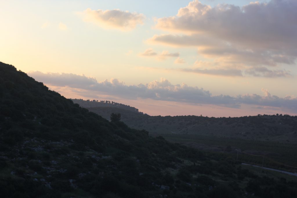 ספר תמונות by hizki - Ourboox.com