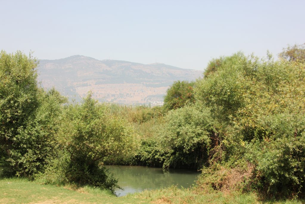 ספר תמונות by hizki - Ourboox.com