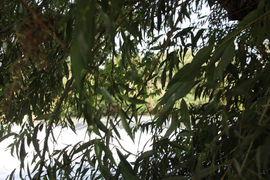 ספר תמונות by hizki - Ourboox.com