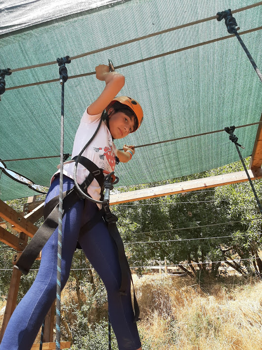 ספר הזיכרונות המשפחתי by shira - Ourboox.com