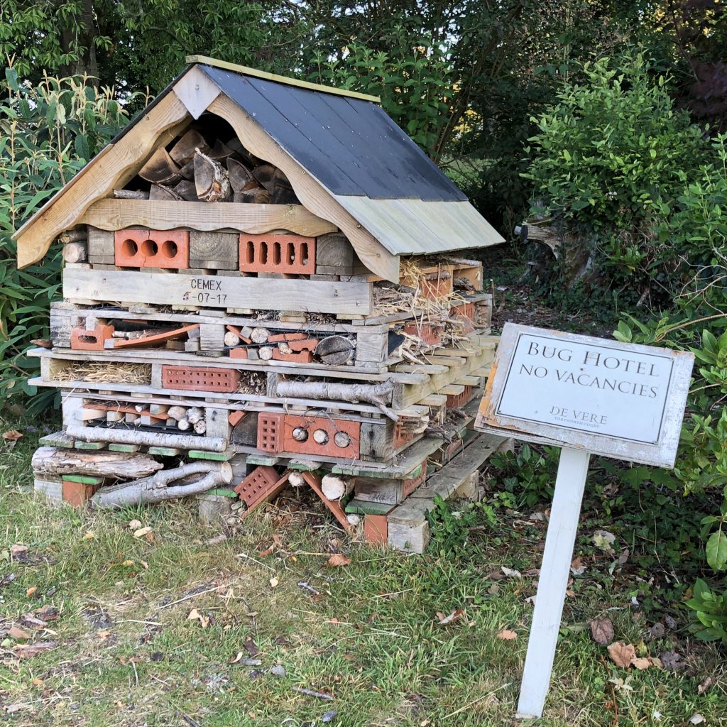 A Tasty Husband by Mel Rosenberg - מל רוזנברג - Ourboox.com