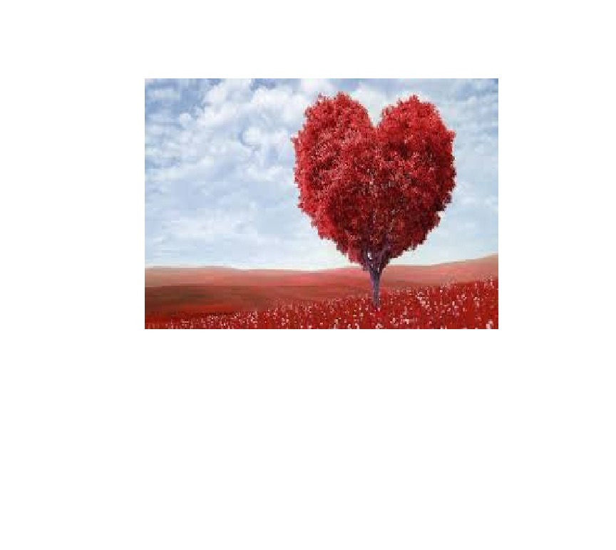 ספר על המידות הטובות by reut shvarz - Illustrated by רעות שוורץ - Ourboox.com