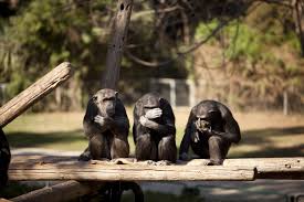 אני אתה והטבע by sunny london - Ourboox.com