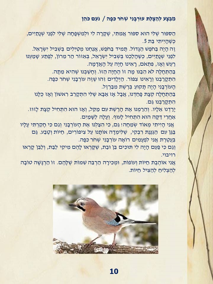 ספר כיתתי א בנות גופנה תשעט by doriya - Ourboox.com