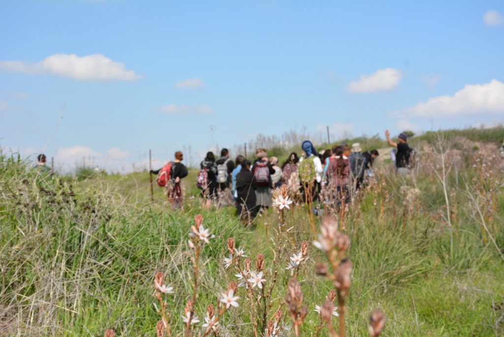 ארץ ישראל שלי by Laura Goncharov - Ourboox.com