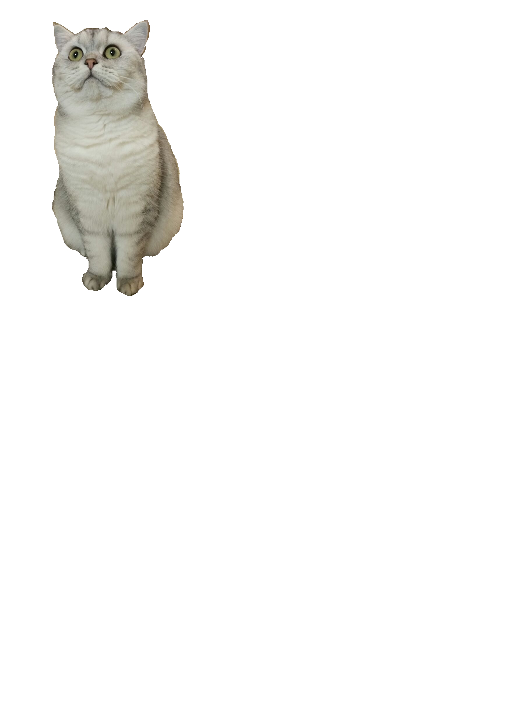 color by Yoav Avidor - Ourboox.com