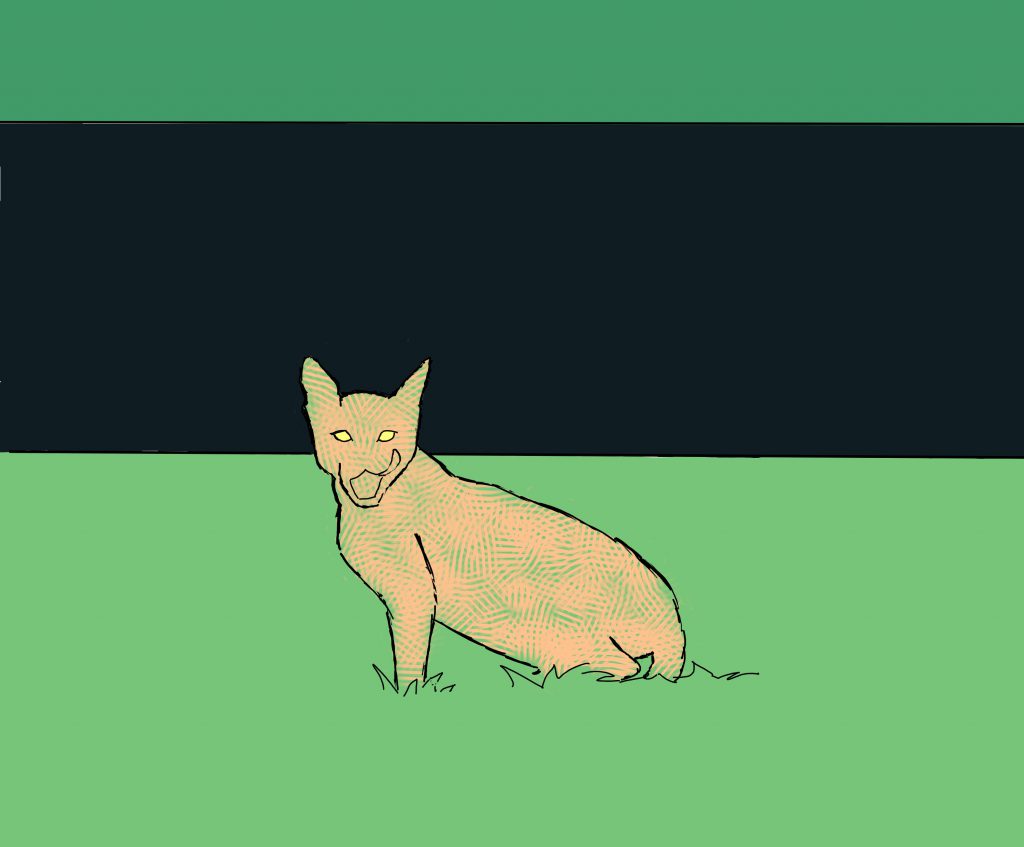 color by Yoav Avidor - Ourboox.com