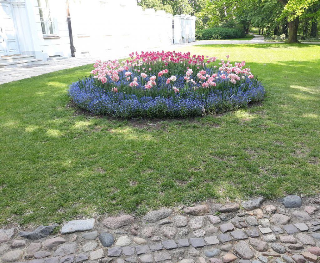 Erasmus Project – Challenges for rural schools by eTwinning group - Illustrated by Partnership Erasmus KA2 - Ourboox.com