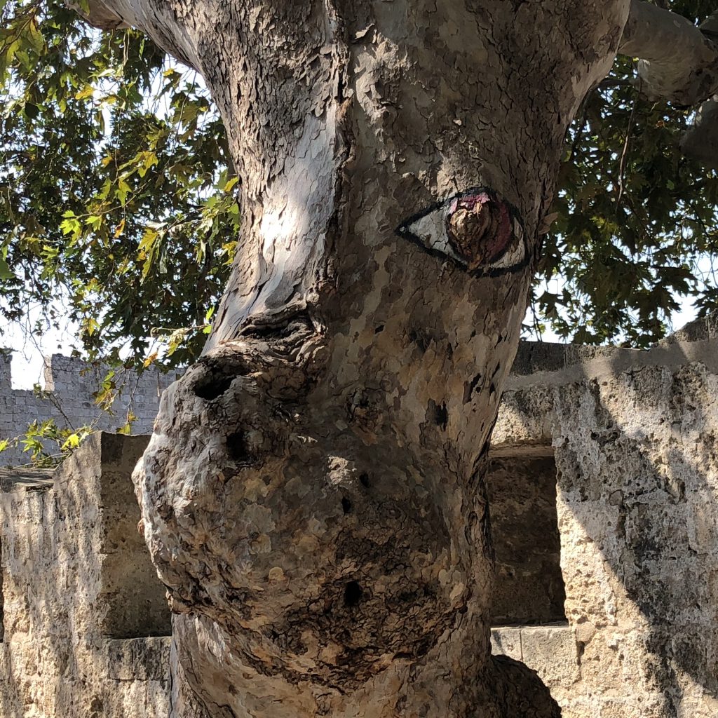 Lost in Rhodes by Mel Rosenberg - מל רוזנברג - Ourboox.com