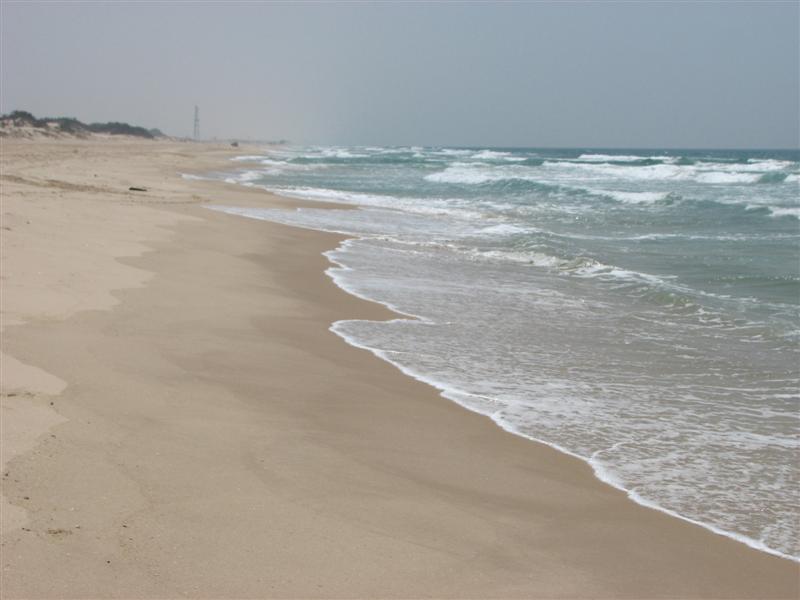 היכן שיאנקו שוקה והמספר שחו