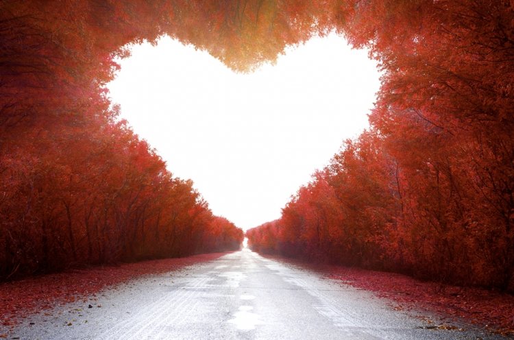 סטודנטים כותבים תנ”ך, החוג למקרא תש”ף by ilore baruch - Ourboox.com