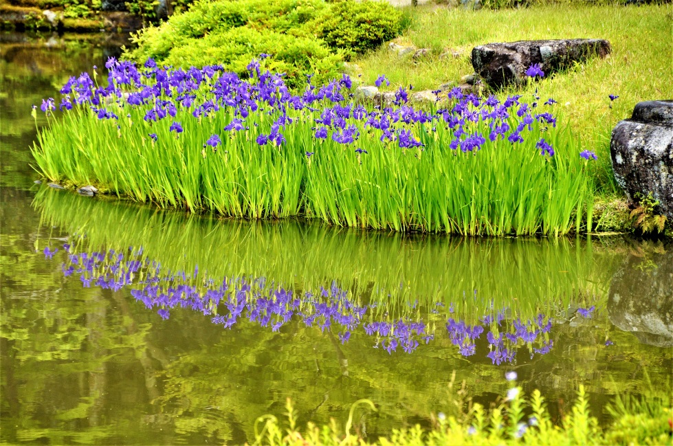 סטודנטים כותבים תנ”ך, החוג למקרא תש”ף by ilore baruch - Ourboox.com