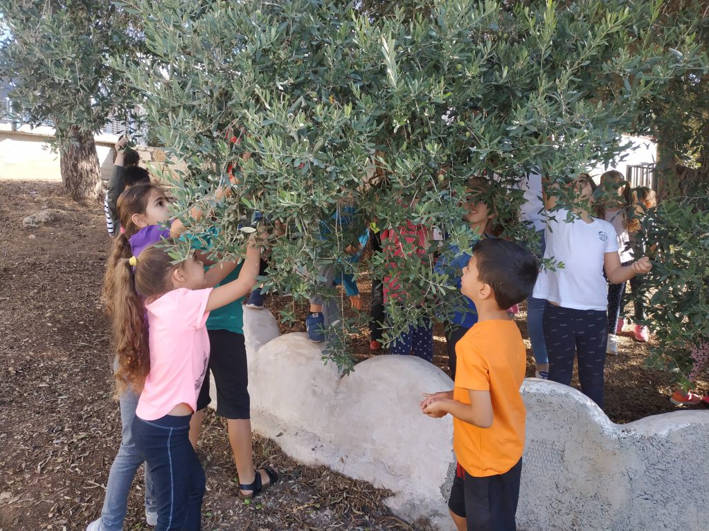 חודשון אוקטובר by michal hunga - Illustrated by עריכה - ריקי חיון - Ourboox.com