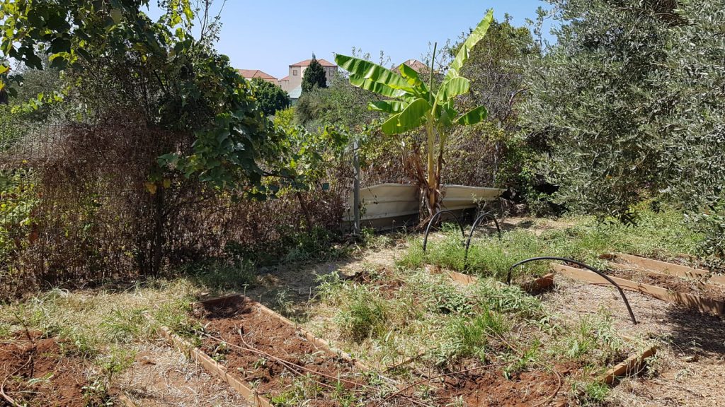 חודשון אוקטובר by michal hunga - Illustrated by עריכה - ריקי חיון - Ourboox.com