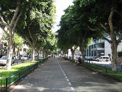 תל-אביב יפו by kamila - Illustrated by שקד א וקמילה - Ourboox.com