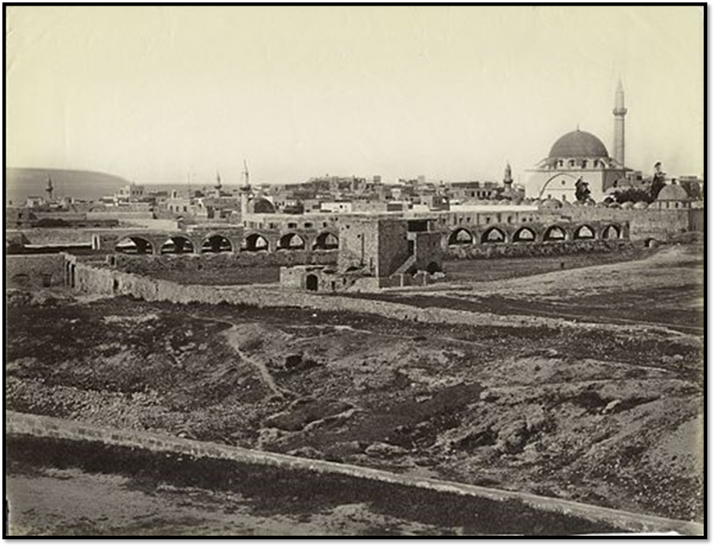 נופליון והפאשה העות’מאני by majdy - Ourboox.com