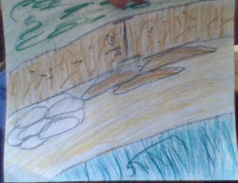 Feeder Bluff by Viola Mapes - Illustrated by Google - Ourboox.com