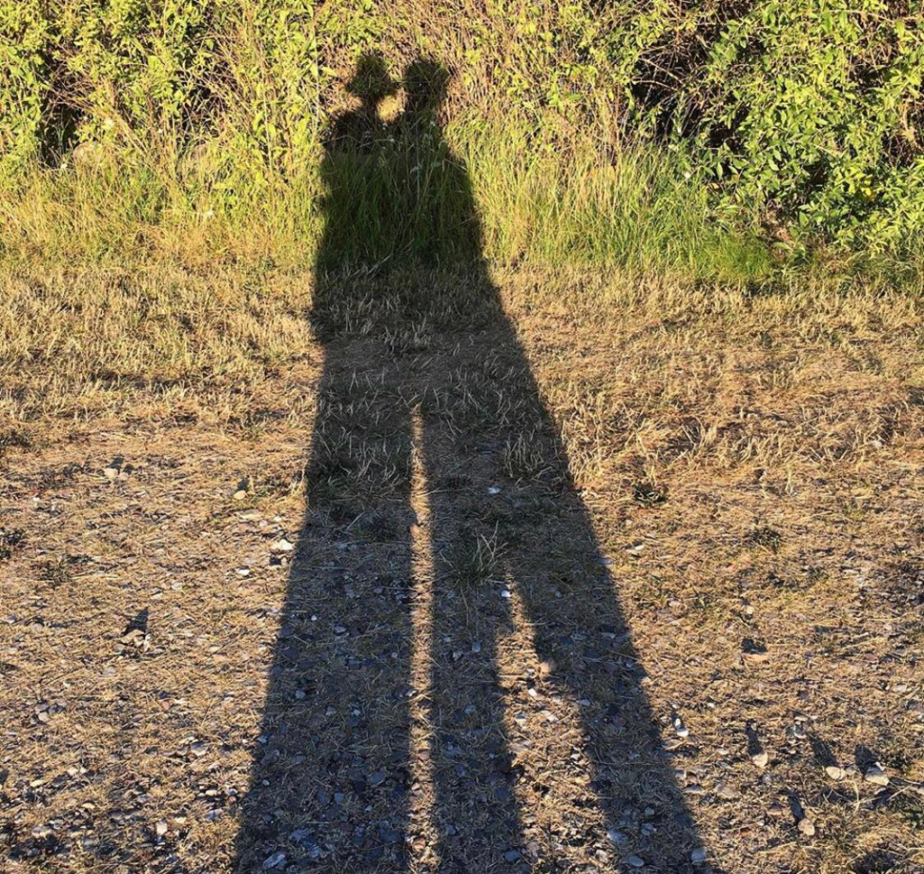 סטודנטים כותבים תנ”ך, החוג למקרא תש”ף by ilore baruch - Ourboox.com